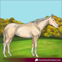 Horse Color:Palomino Pearl 