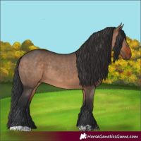 Horse Color:Brown Dun and Brown Dun Rabicano