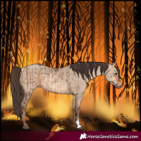Horse Color:Bay Dun  and Amber Champagne Dun 