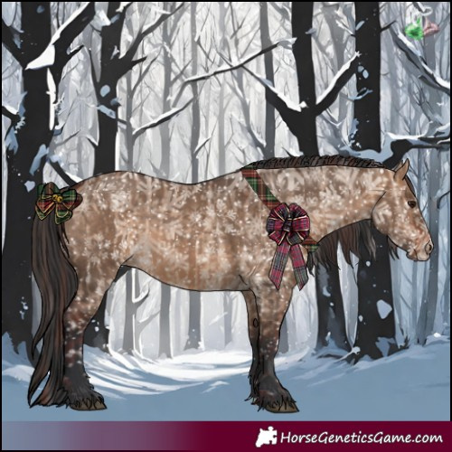 Horse Color:Chocolate Bay Dun Appaloosa and Bay Dun