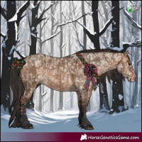 Horse Color:Chocolate Bay Dun Appaloosa  and Bay Dun 