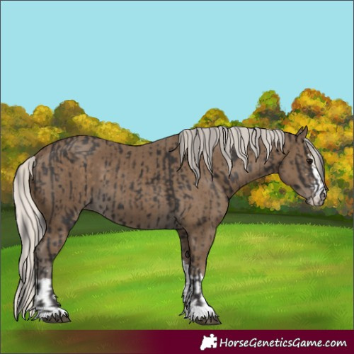Horse Color:Smoky Black and Silver Smoky Black