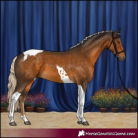 Horse Color:Chocolate Palomino Tobiano