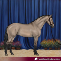 Horse Color:Brown Dun Sabino Rabicano
