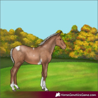 Horse Color:Silver Brown Pearl Tobiano 