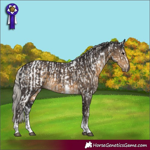 Horse Color:Bay Sabino Rabicano  and Silver Smoky Black Sabino Tobiano 