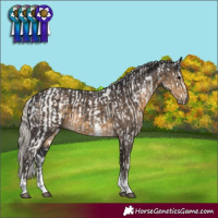 Horse Color:Bay Sabino Rabicano and Silver Smoky Black Sabino Tobiano