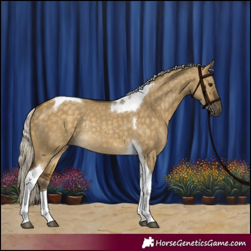 Horse Color:Silver Buckskin Dun Tobiano Rabicano 