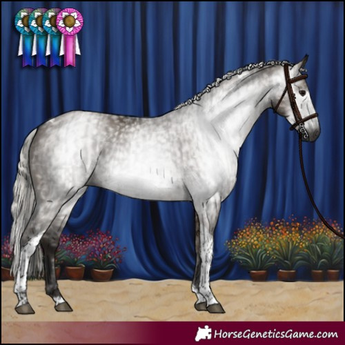 Horse Color:Gray Grullo Tobiano and Gray Silver Brown Dun Tobiano