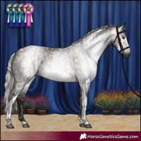 Horse Color:Gray Grullo Tobiano  and Gray Silver Brown Dun Tobiano 