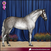 Horse Color:Gray Grullo Tobiano  and Gray Silver Brown Dun Tobiano 