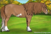 Horse Color:Chestnut Splash Frame
