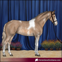 Horse Color:Chocolate Palomino Sabino Tobiano Rabicano 