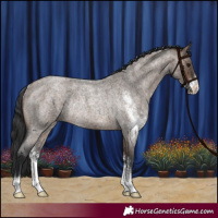 Horse Color:Brown Roan Dun Sabino Rabicano