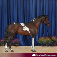 Horse Color:Liver Chestnut Tobiano Rabicano 