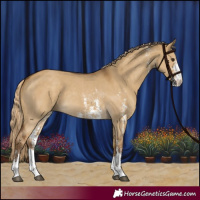 Horse Color:Chocolate Palomino Dun Sabino 