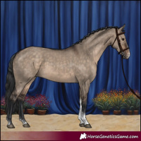Horse Color:Brown Dun Sabino Tobiano Rabicano
