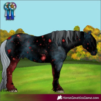 Horse Color:ERROR: UNKNOWN ANOMALY