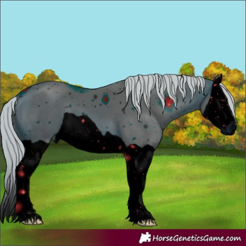 Horse Color:ERROR: UNKNOWN ANOMALY