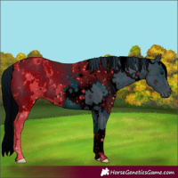 Horse Color:ERROR: UNKNOWN ANOMALY