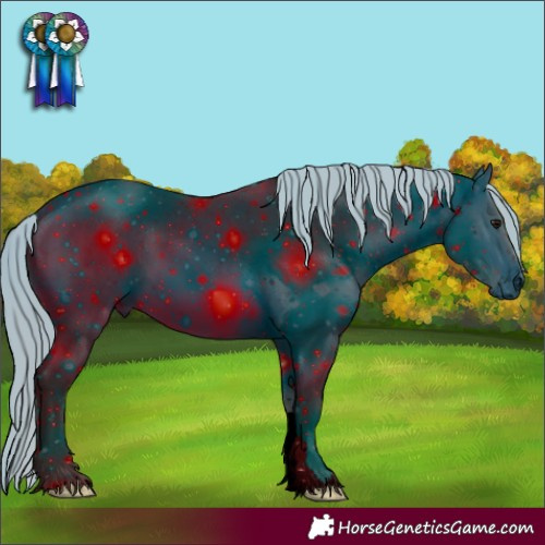 Horse Color:ERROR: UNKNOWN ANOMALY