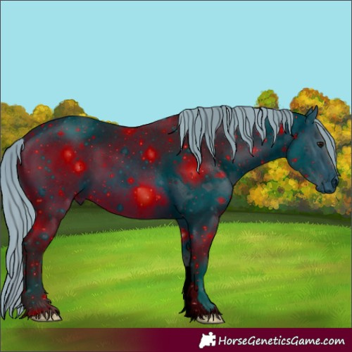 Horse Color:ERROR: UNKNOWN ANOMALY