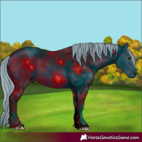 Horse Color:ERROR: UNKNOWN ANOMALY
