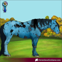 Horse Color:ERROR: UNKNOWN ANOMALY