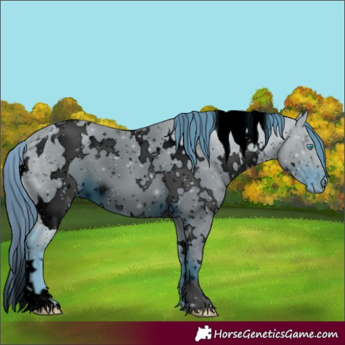 Horse Color:ERROR: UNKNOWN ANOMALY