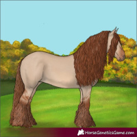 Horse Color:Red Dun 