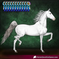 Horse Color:Bay Fewspot 