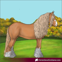 Horse Color:Chestnut 