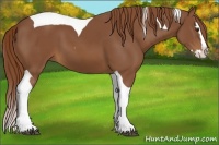 Horse Color:Chestnut Splash Tobiano