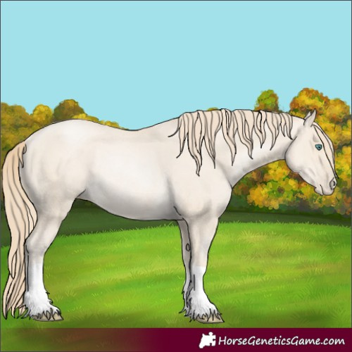 Horse Color:Smoky Black Pearl Rabicano 