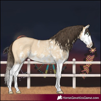 Horse Color:Amber Cream Champagne Dun Sabino Splash 