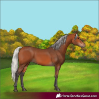 Horse Color:Silver Brown 