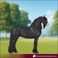 Horse Color:Black Frame 