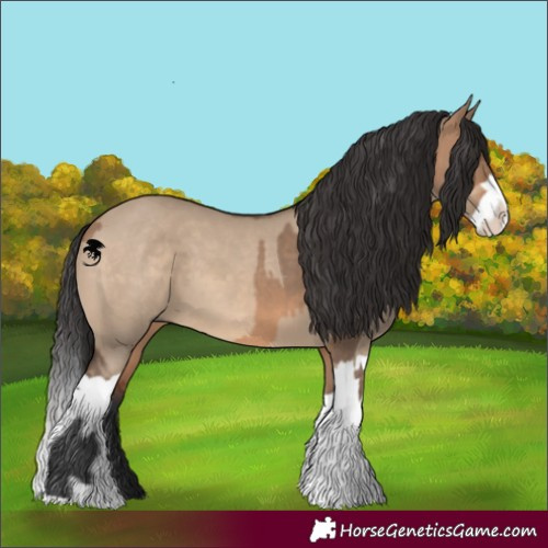 Horse Color:Brown Dun  and Brown Dun Splash 