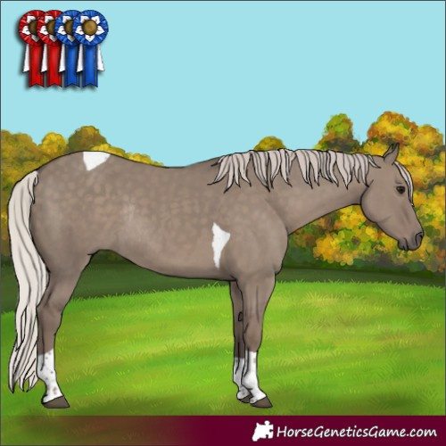 Horse Color:Silver Grullo Tobiano Rabicano 