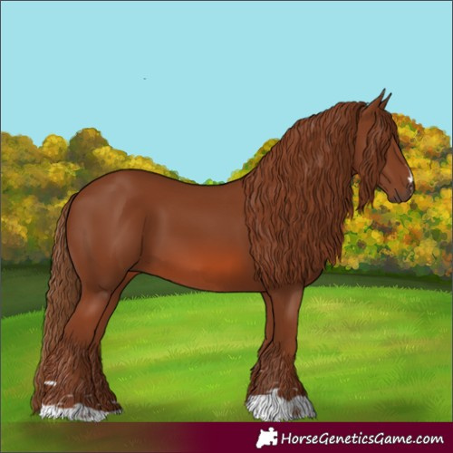 Horse Color:Chestnut 