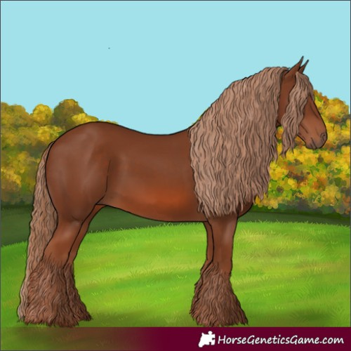 Horse Color:Chestnut 