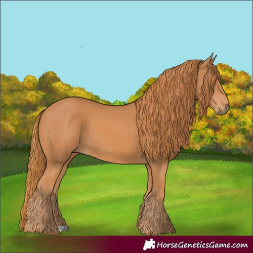 Horse Color:Chestnut 
