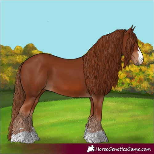 Horse Color:Chestnut 