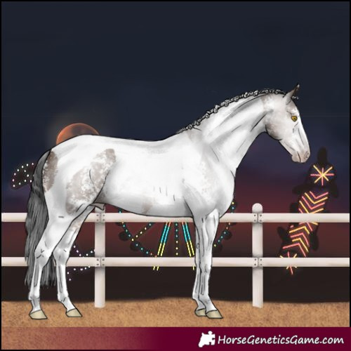 Horse Color:Gray Sable Champagne Sabino Tobiano 