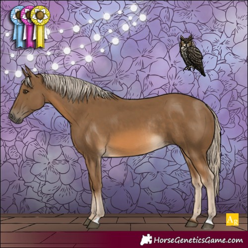 Horse Color:Chocolate Palomino Rabicano 