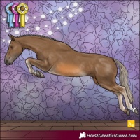 Horse Color:Chocolate Palomino Rabicano 