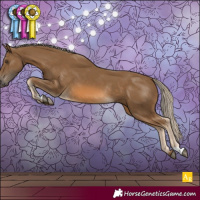 Horse Color:Chocolate Palomino Rabicano