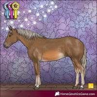 Horse Color:Chocolate Palomino Rabicano