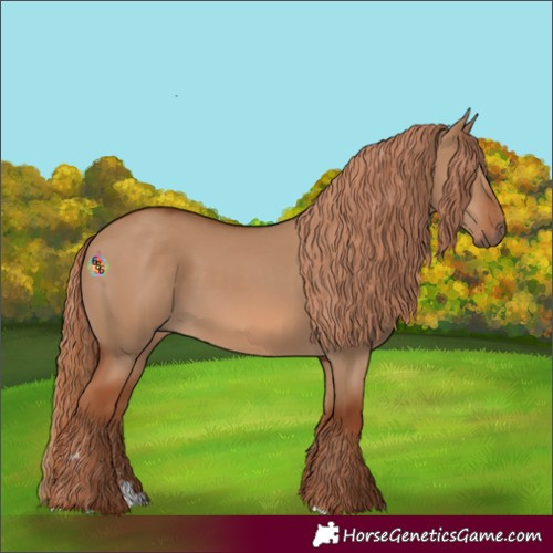 Horse Color:Red Dun 