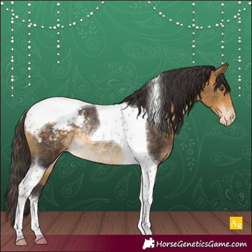Horse Color:Buckskin Tobiano Snowcap Rabicano